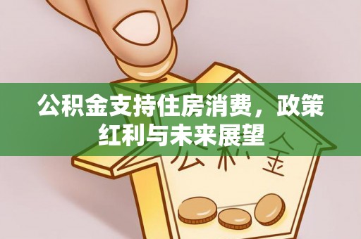 曲靖公积金支持住房消费，政策红利与未来展望