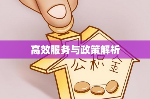 曲靖高效服务与政策解析