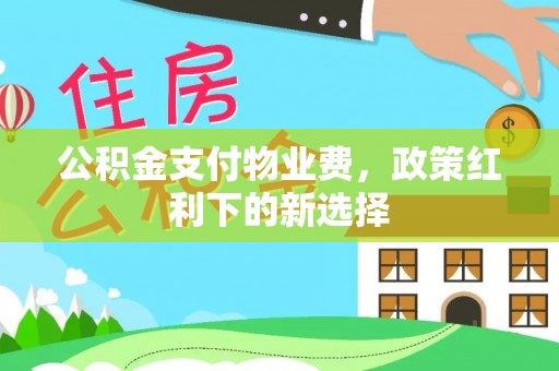曲靖公积金支付物业费，政策红利下的新选择